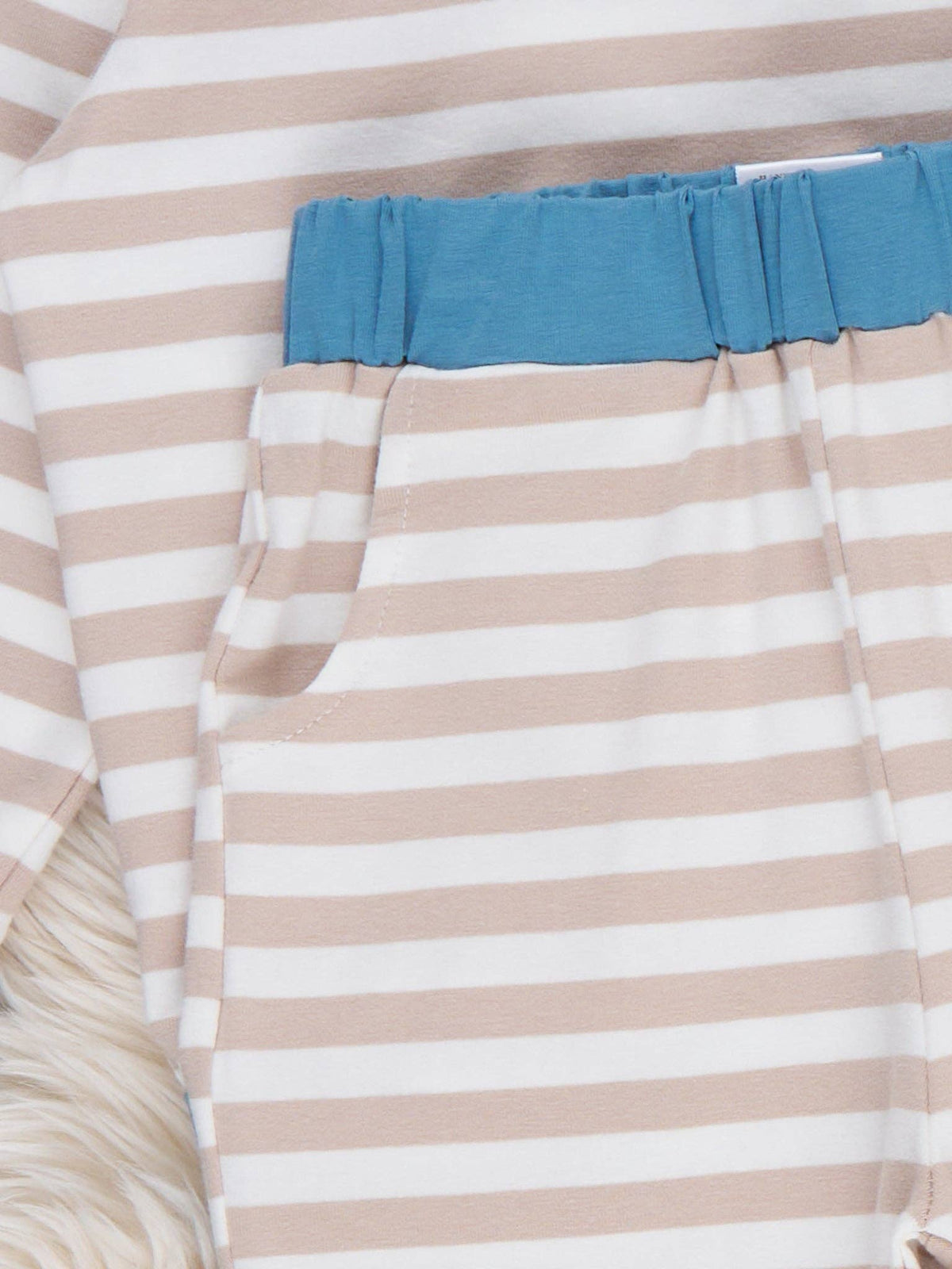 Little Dino Stripe Embroidered Pajamas